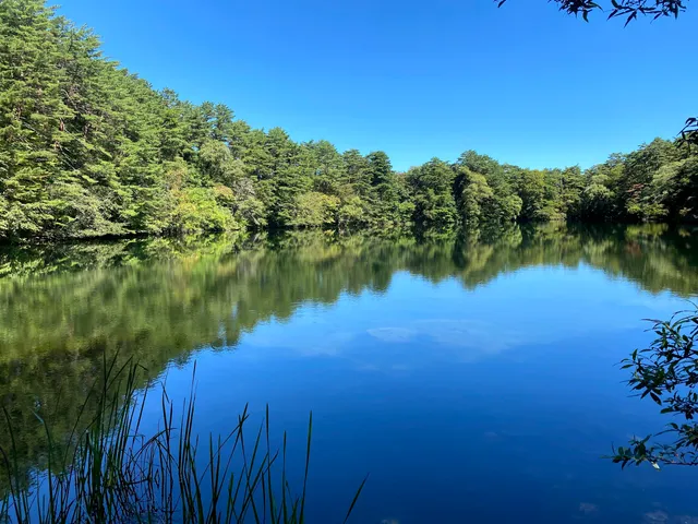 Yanaginuma Pond（Goshikinuma Ponds）