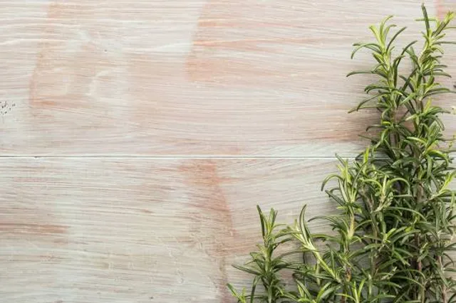 Parque Champayan Laguna