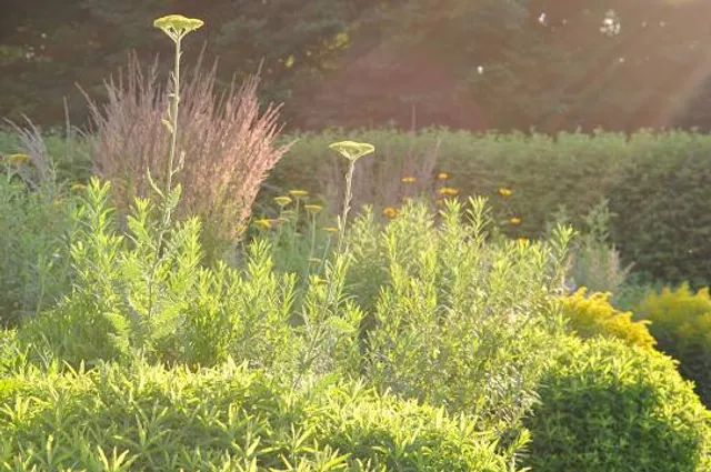 Sichtungsgarten Weihenstephan