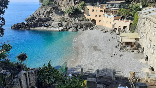 Portofino Park Authority