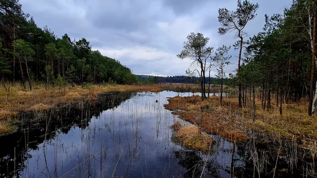 Národní přírodní památka SWAMP