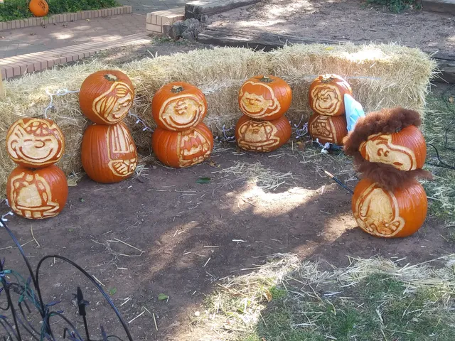 Lubbock Memorial Arboretum