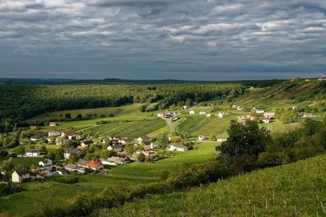 Weinblick Aussichtsplattform