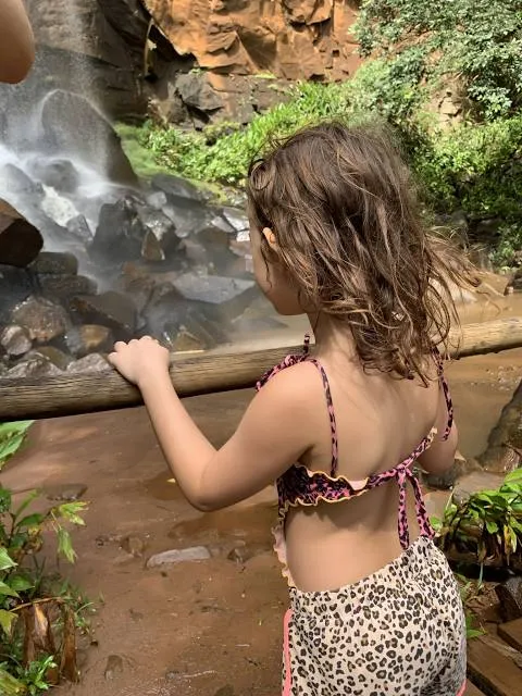 Cachoeira da Figueira