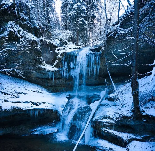 Yellow Branch Falls Trail