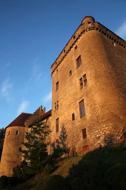 Château médiéval du Pin Jura