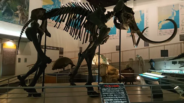 Takikawa Museum of Art and Natural History