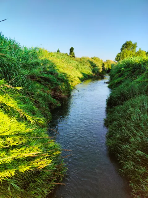 Río Túria fluvial park