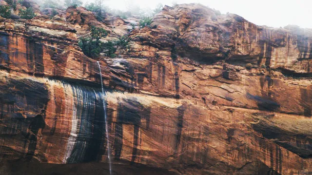 Zion National Park Forever Project