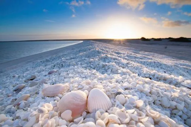 Spiaggia delle Conchiglie