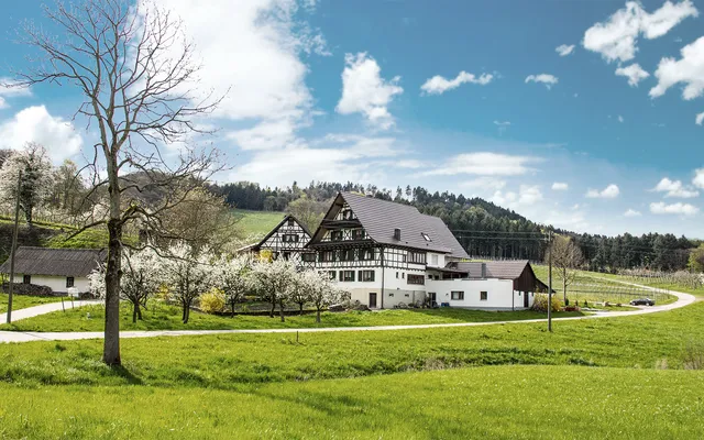 Danner Hof - Apartment - wine and fruit farm