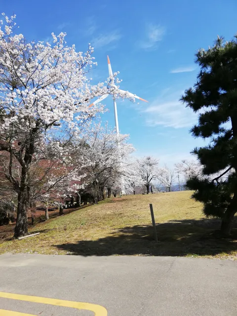 photo-3