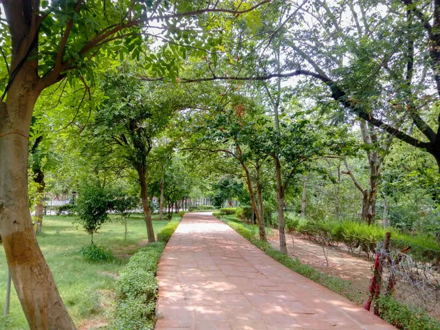 Paliwal Park