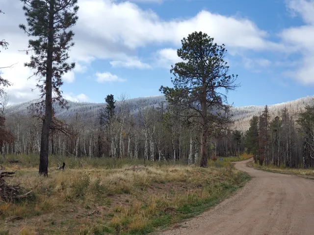 Forbes Park - Colorado