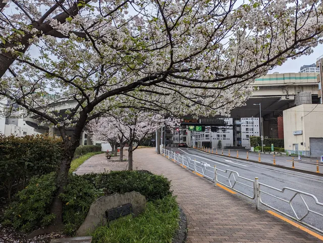 Hakozakigawa Daiichi Park