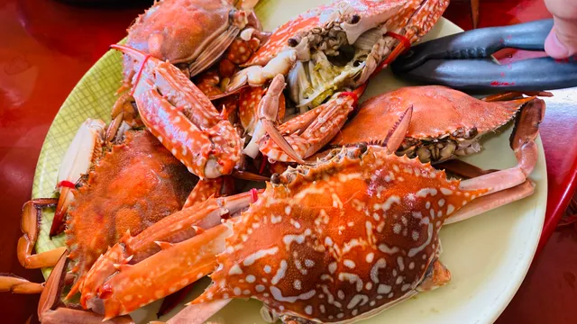 Wenzi Fishing Harbor