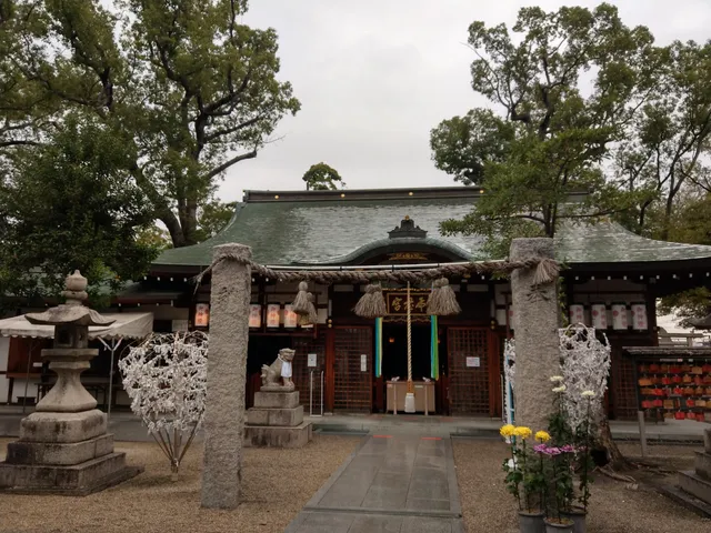 photo-2