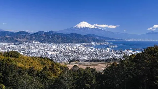 Nippondaira Hotel Garden