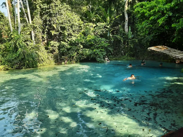 Springs Biological Reserve of Serra do Cachimbo