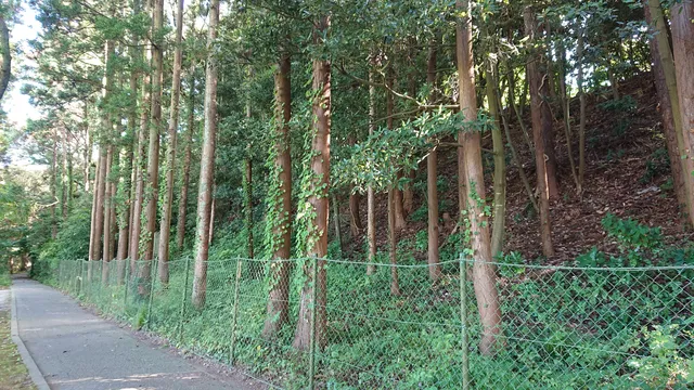 Ogushi Shell Mound