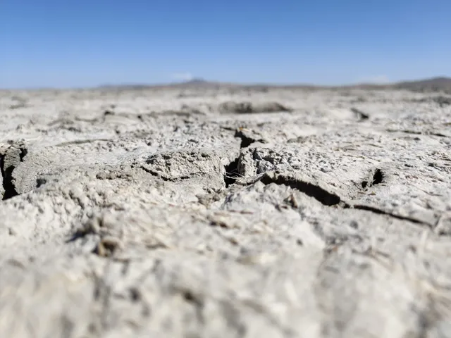 SEYFE GÖLÜ KUŞ CENNETİ