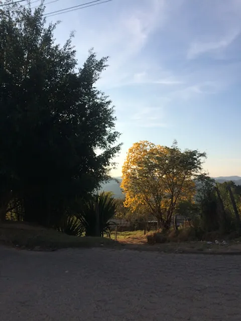 Bar Do Chico Rochinha