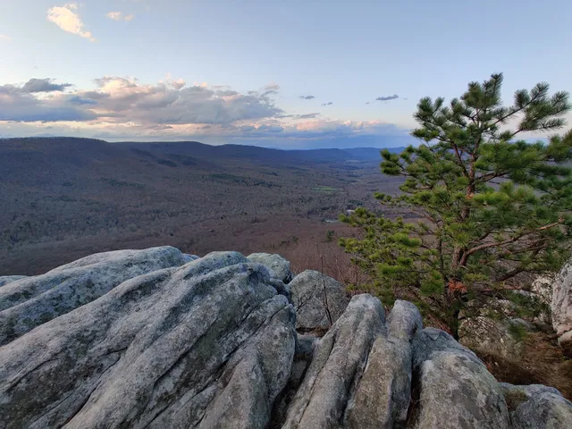 Tibbet Knob Trailhead