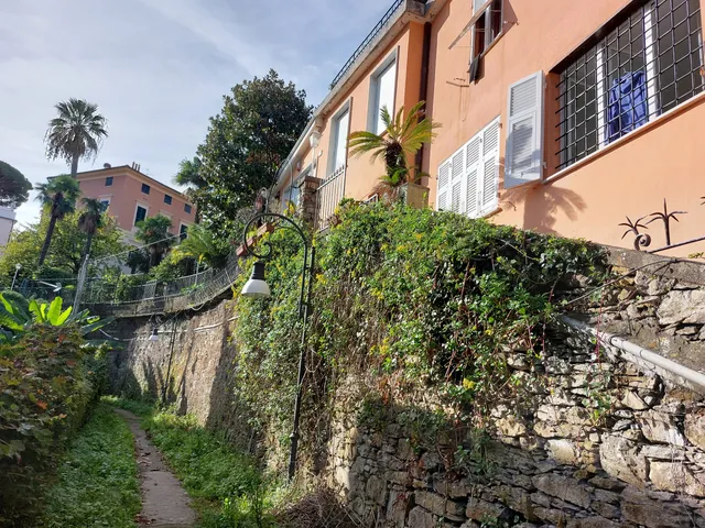 photo-3
