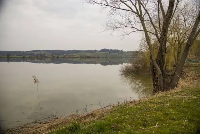 Upravna Enota Domžale