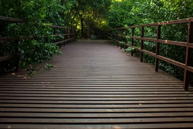 Tholkappia Poonga [Adyar Eco-Park]