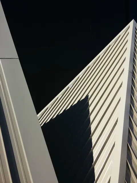 CoCA - Centre of Contemporary Art Toi Moroki