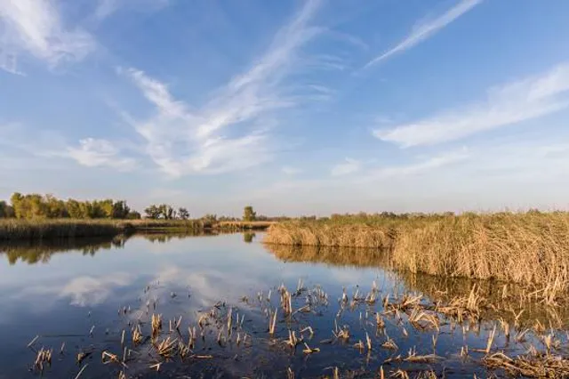 Colusa National Wildlife Refuge