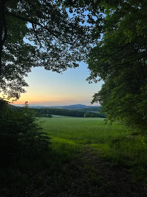 Naturerlebnis Bamster Wald