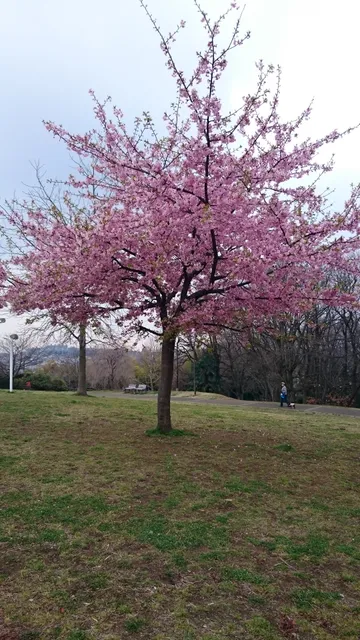 Kamihoshikawa Aozora Park