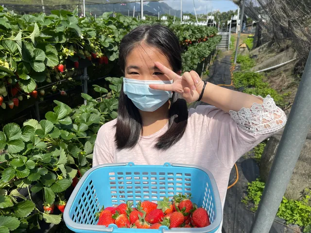 Dahu Strawberry Farm