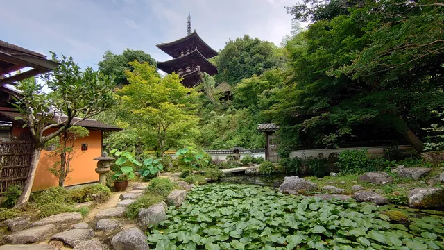 タイマデラナカノボウ