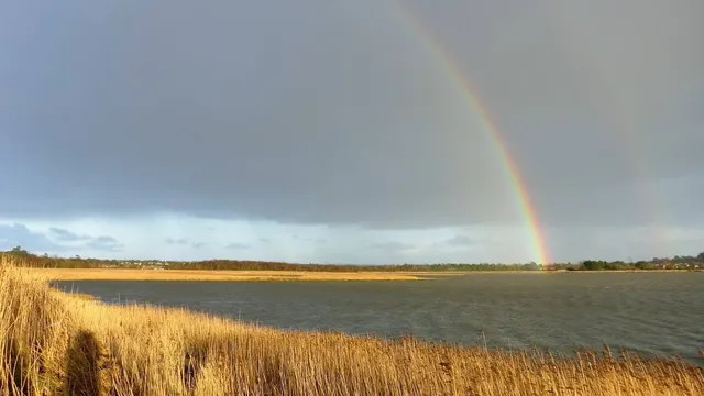 RSPB Lytchett Fields