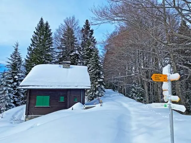 Cochrane Polar Bear Habitat