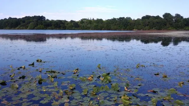 Watkins Lake State Park and County Preserve