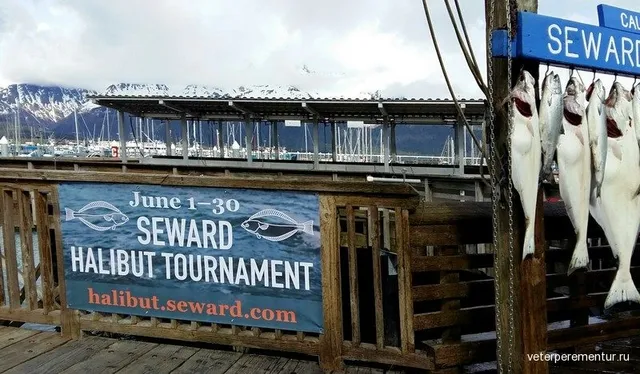 Saltwater Safari Company