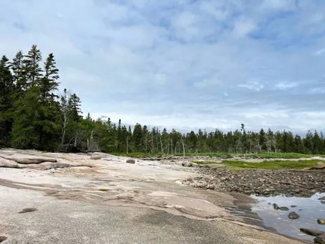 Great Wass Island Preserve