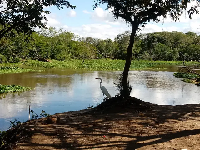 Balneário Passo das Canoas