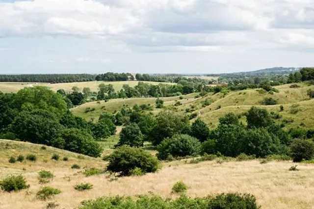 The Hills of Brosarp