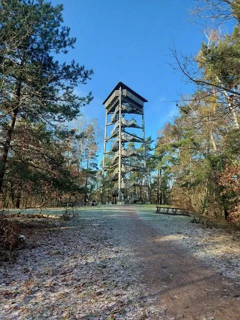 Lookout Tower on the Golden Mount