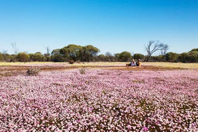 Western Australia Visitor Centre