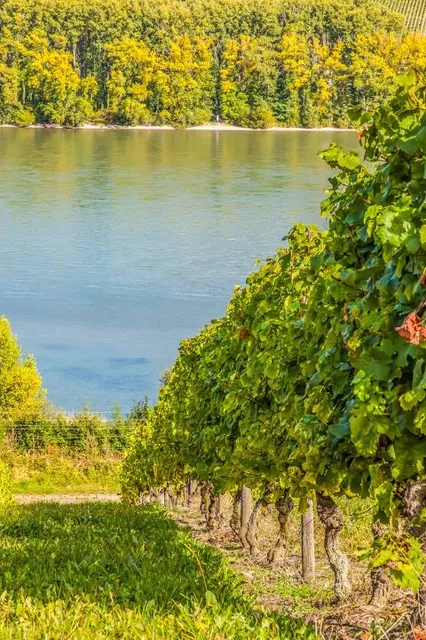 Muddy Run Recreation Reservoir