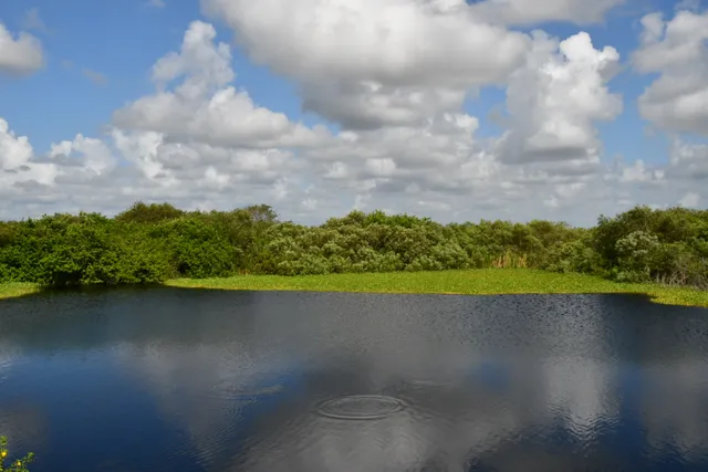 Holey Land Wildlife Management Area