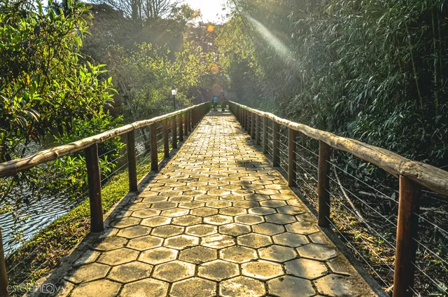 Zoológico Municipal de Mogi Mirim
