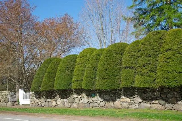 photo-2