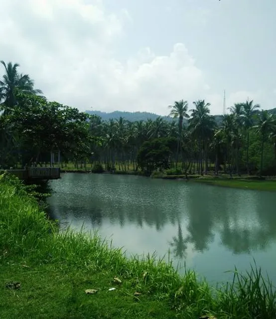 photo-3